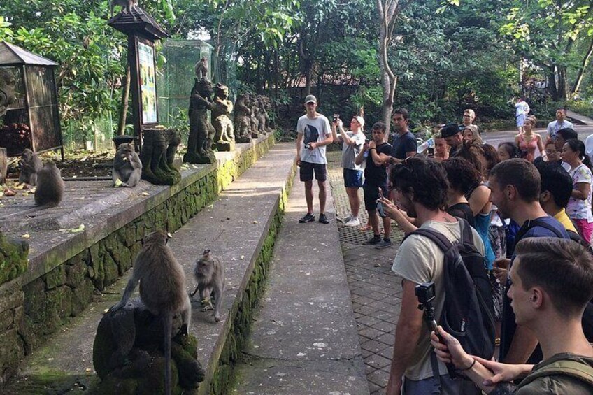Ubud Sacred Monkey Forest 2