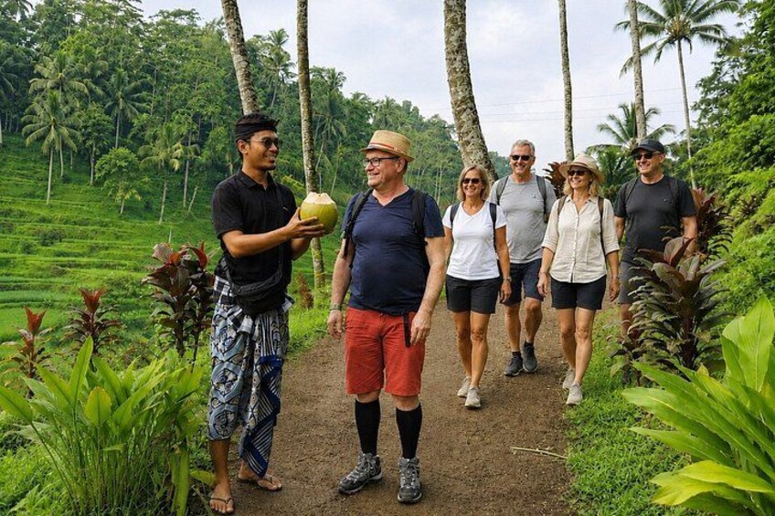 A group of people walking on a dirt path surrounded by lush greenery and palm trees. 1