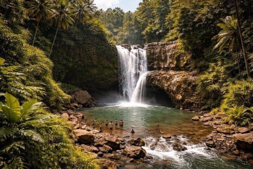Ubud Private Tour - All Inclusive Premium Experience 2