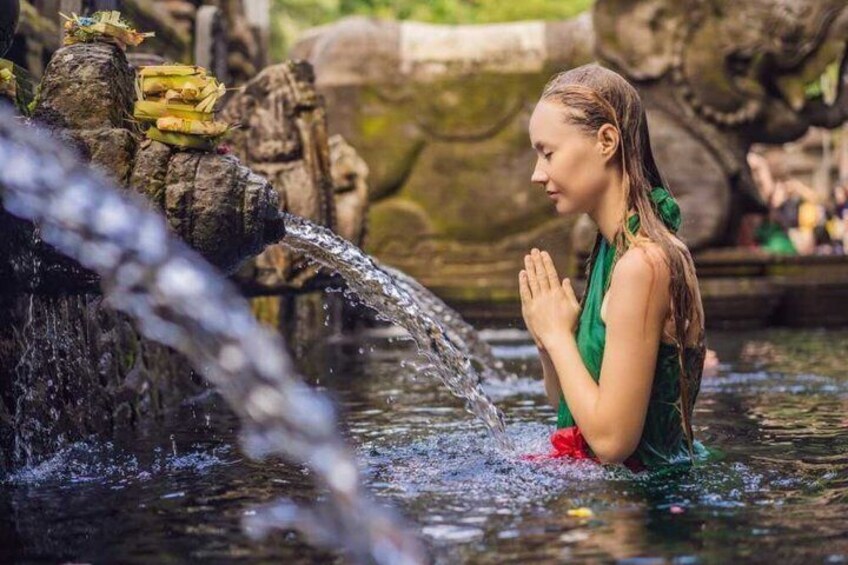 Ubud Private Tour - All Inclusive Premium Experience 4