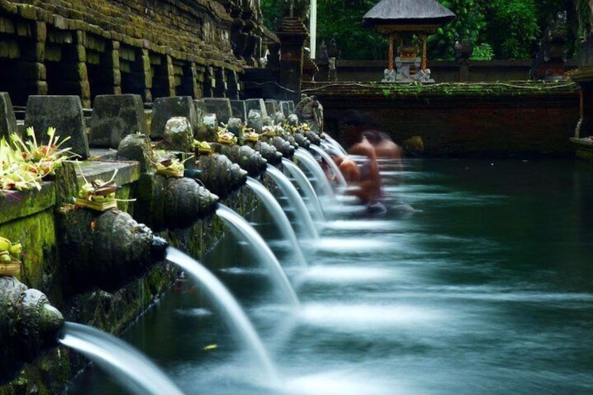 Ubud Private Tour - All Inclusive Premium Experience 3