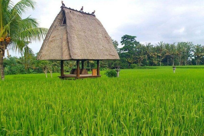 ubud countryside 2
