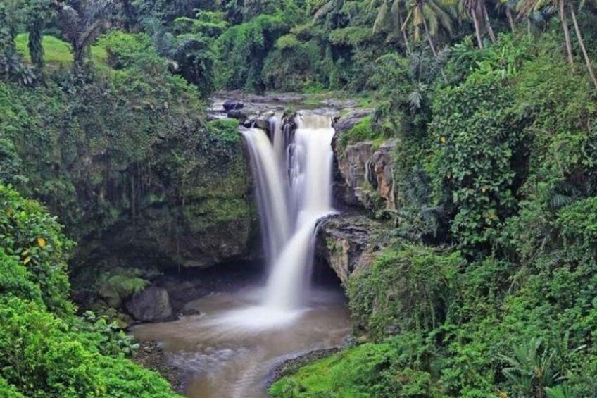 A waterfall surrounded by lush greenery. 4