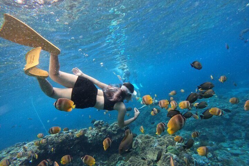 A person snorkeling underwater with a school of fish. 1