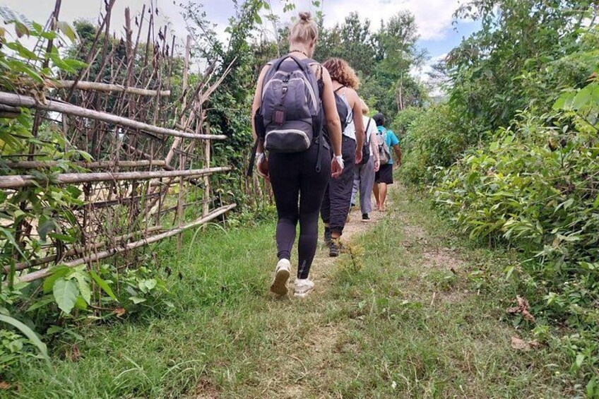 Full Day Visit & Cook at Local family' farm and Hiking to Kuang si waterfalls 4