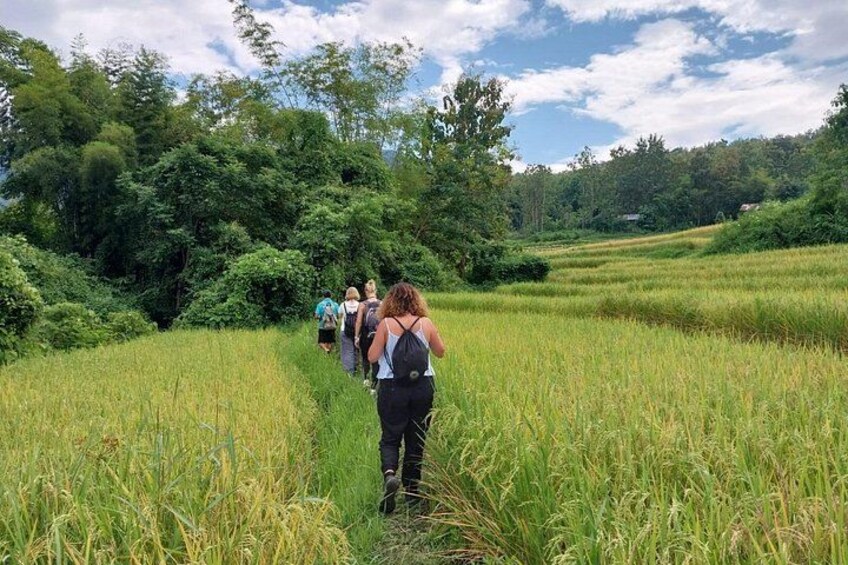 Full Day Visit & Cook at Local family' farm and Hiking to Kuang si waterfalls 3