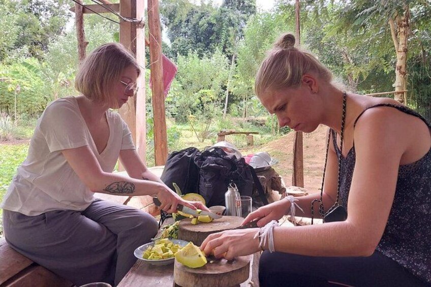 Full Day Visit & Cook at Local family' farm and Hiking to Kuang si waterfalls 1