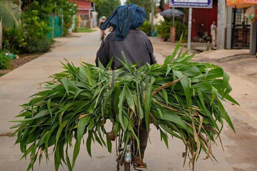 Cycling around The Mekong Island and Lunch with Locals