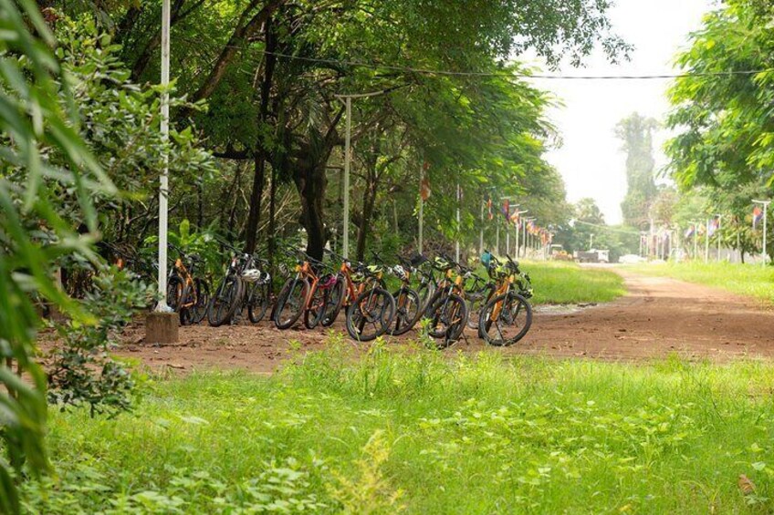 Cycling around The Mekong Island and Lunch with Locals