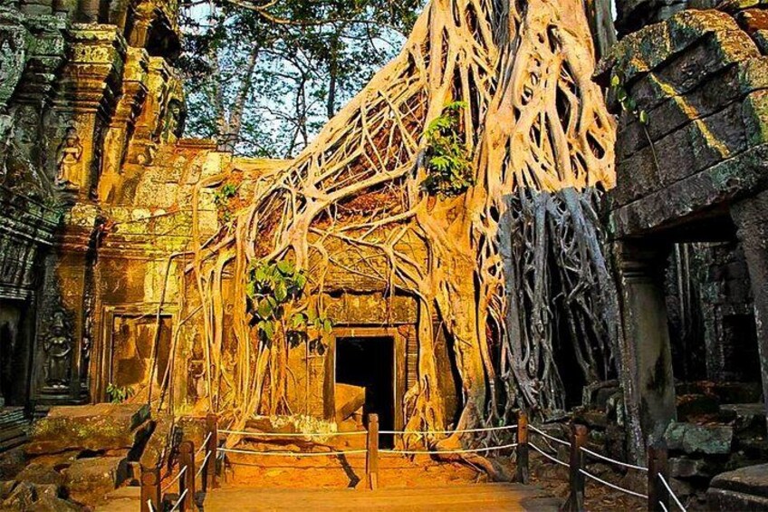 Angkor Wat Sunrise Private Tour with Guide from Siem Reap 3