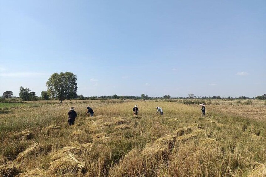 Killing Field & Paddy Rice Fields Bike Ride