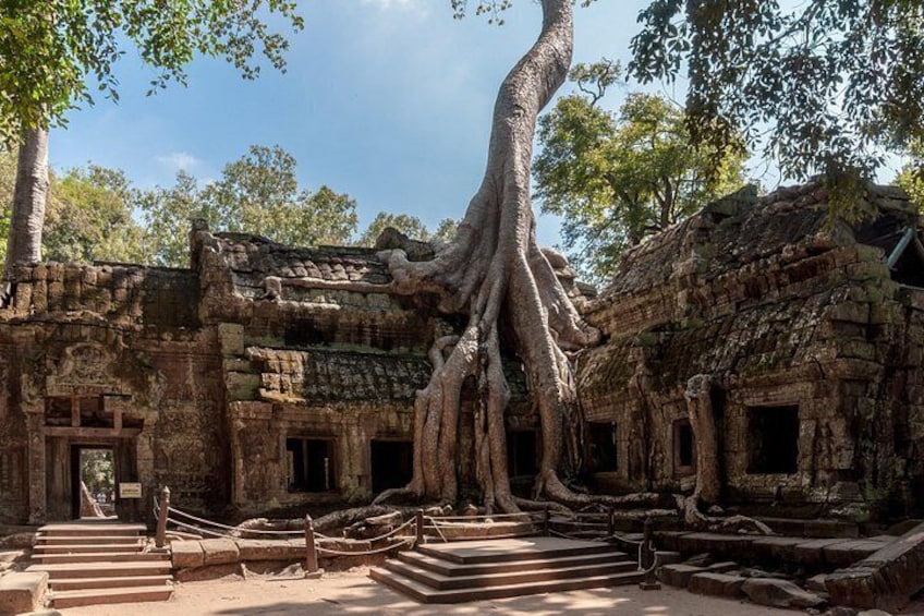 Un temple antique, entouré de grands arbres. 3