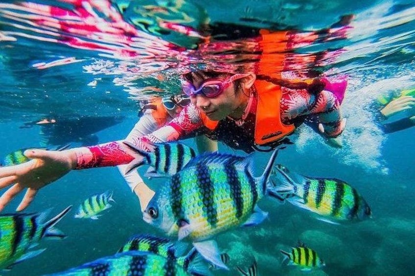 A person swimming underwater with colorful fish. 1