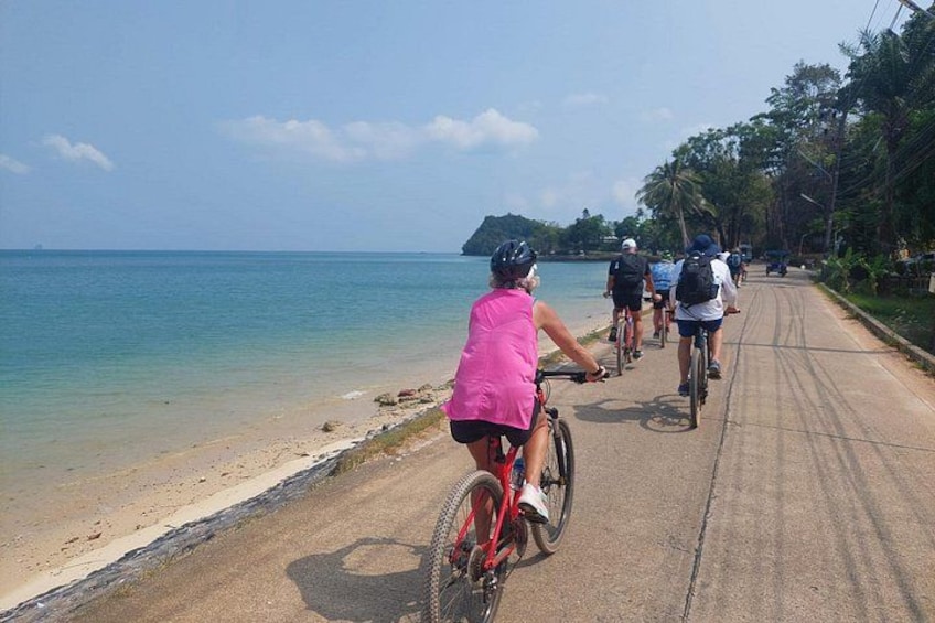 A group of cyclists on a paved path by a beach with clear water and a distant island. 2
