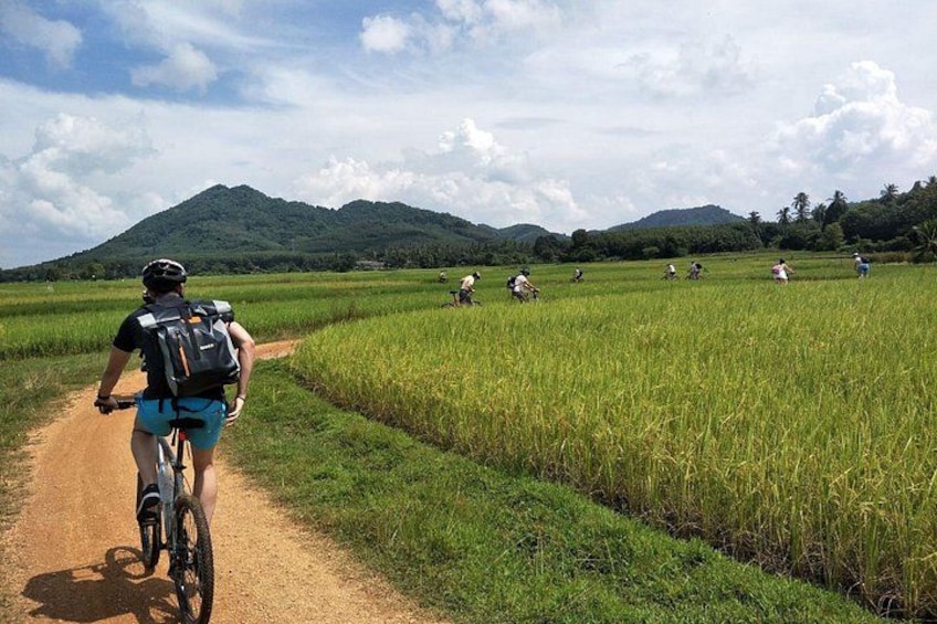 Countryside cycling 1
