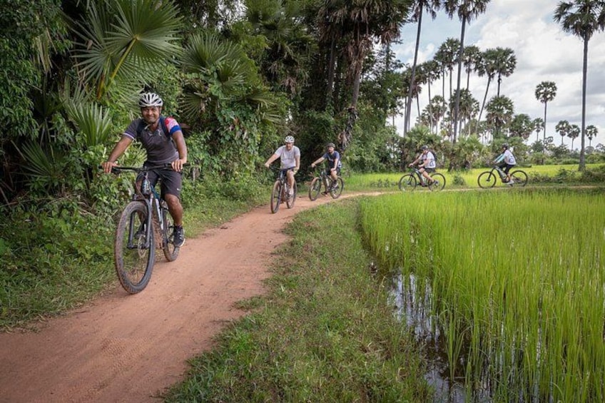 Cyclists on a dirt path alongside a rice field with palm trees in the background. 3