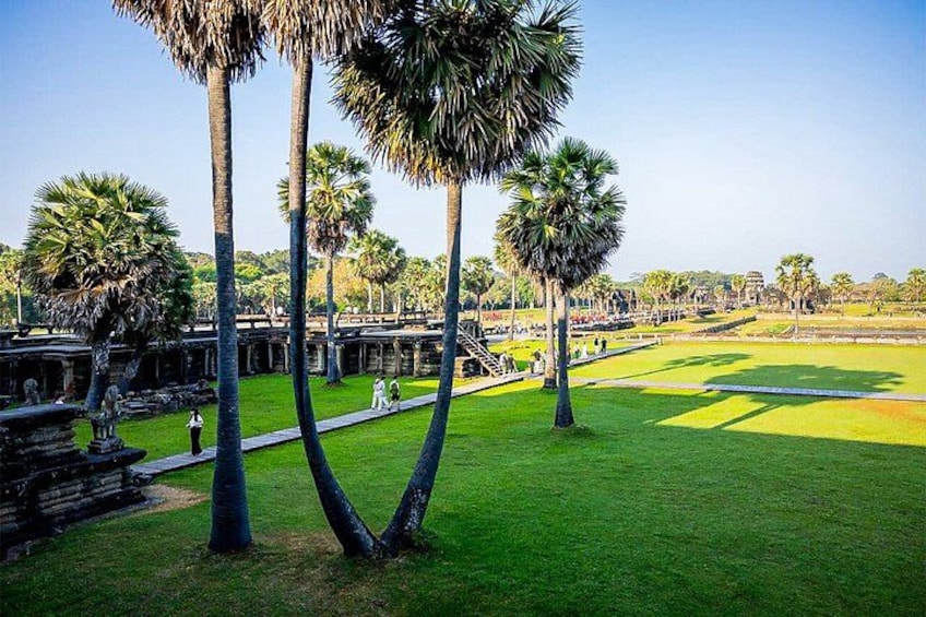A park with palm trees, a pathway, and a grassy area. 3
