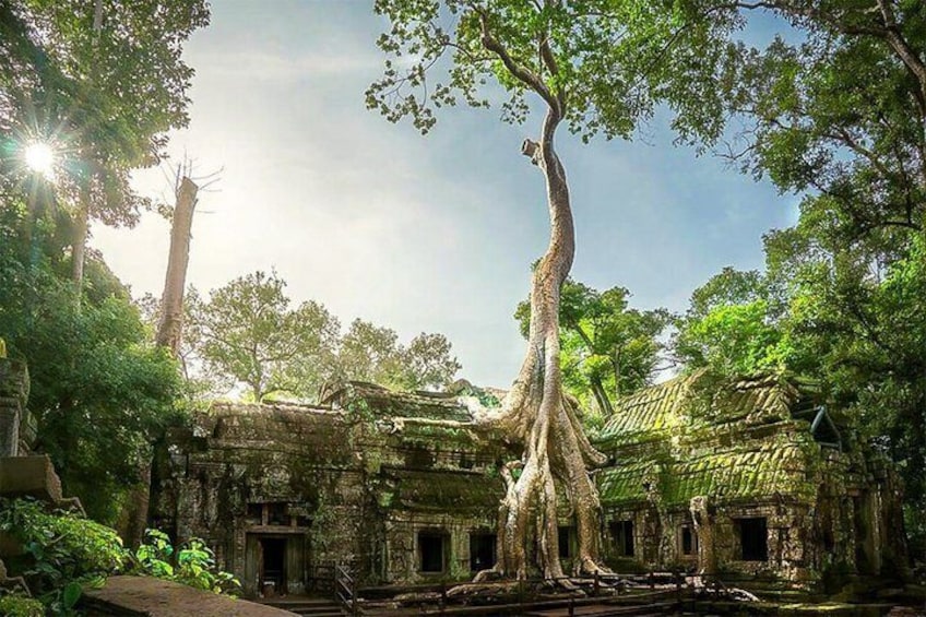 Angkor Wat Sunrise or Sunset Tour with Guide from Siem Reap 2
