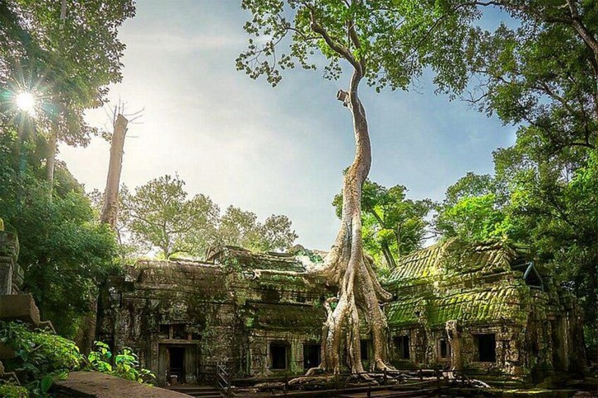 Angkor Wat Sunrise or Sunset Tour with Guide from Siem Reap 2
