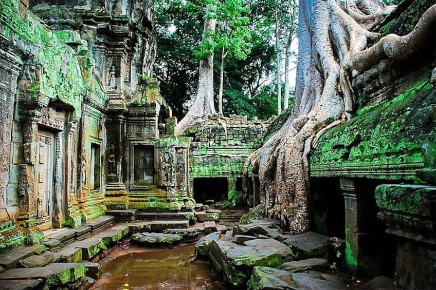 Angkor Wat Sunrise or Sunset Tour with Guide from Siem Reap 3