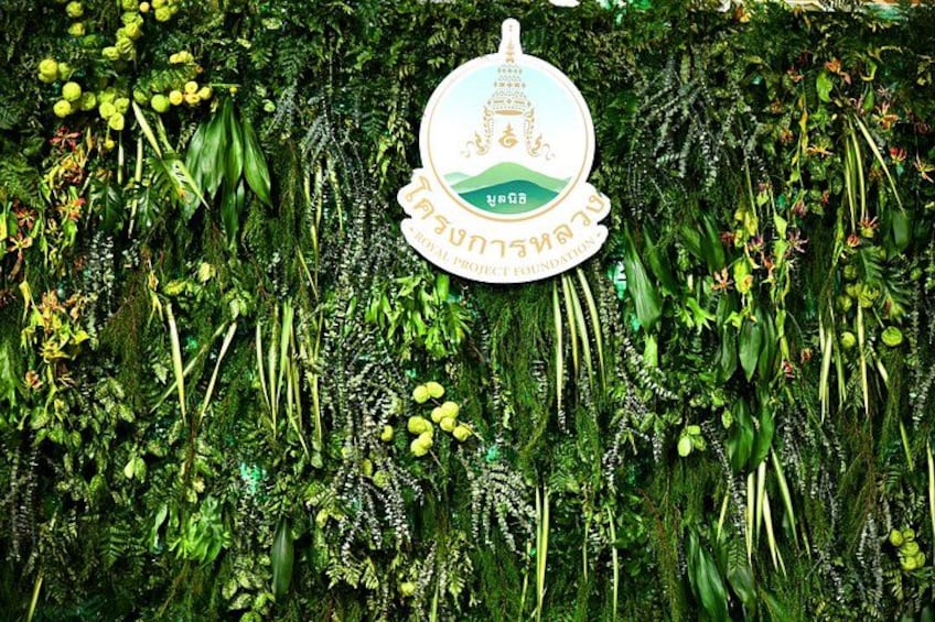A lush green wall with a logo in the center. 3