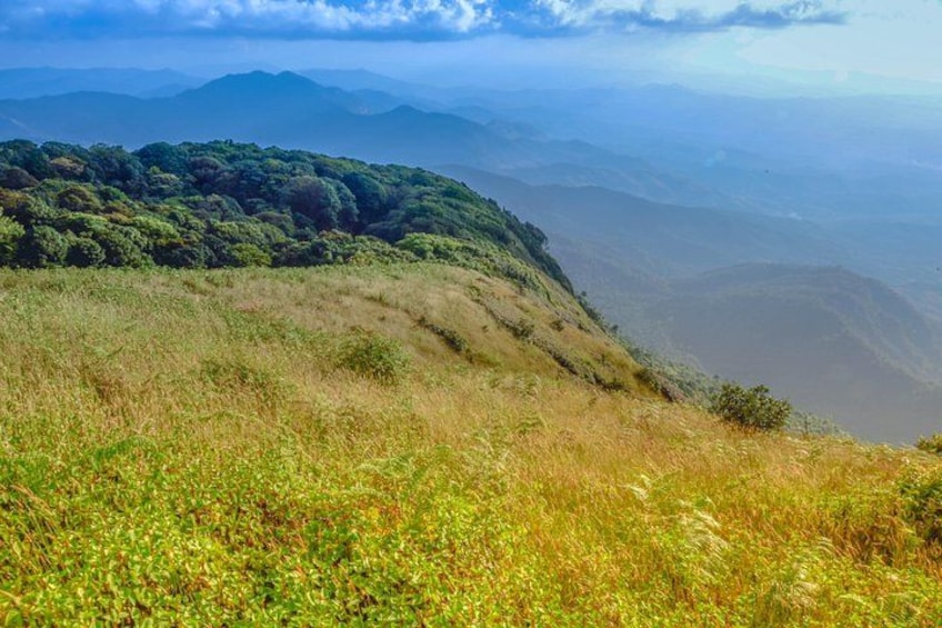 A grassy hillside with a forested area in the background and distant mountains. 4