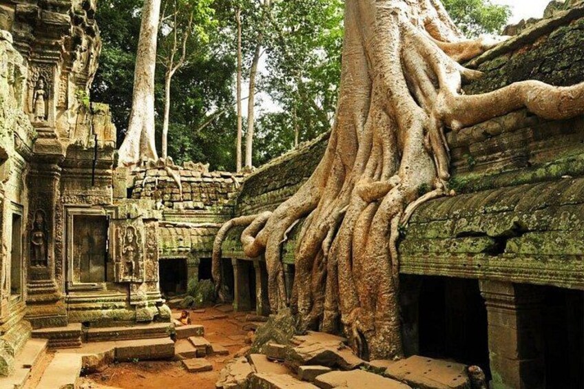 Angkor Wat full Day 'Small Group with sunset & Tour Guide 2