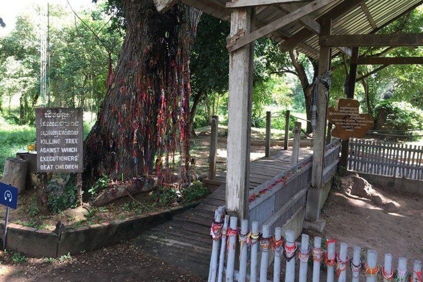 A tree with red ribbons, a wooden bench, and a sign about tree executioners. 1