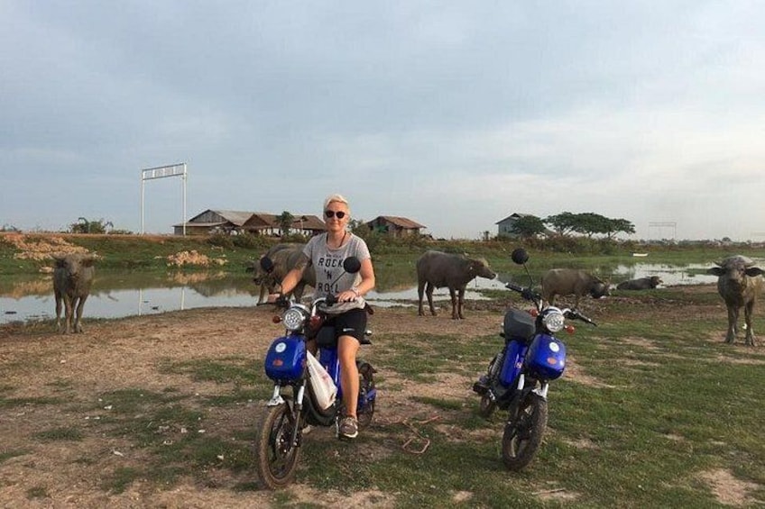 A person on a motorcycle with two other motorcycles, surrounded by water and buffaloes in a rural setting. 1