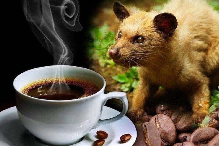 A cup of coffee with steam, a saucer, and coffee beans on a table. 2