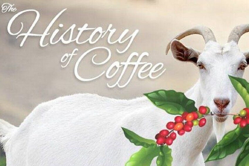 Vietnamese Culture and Coffee Making Class 4
