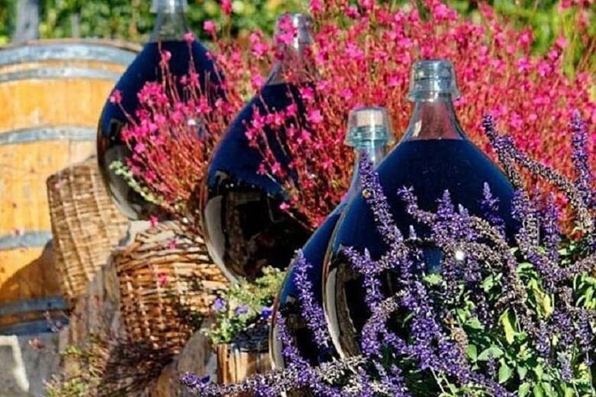 Half-Day Wine Tasting and Saint Paul de Vence Tour from Nice 1
