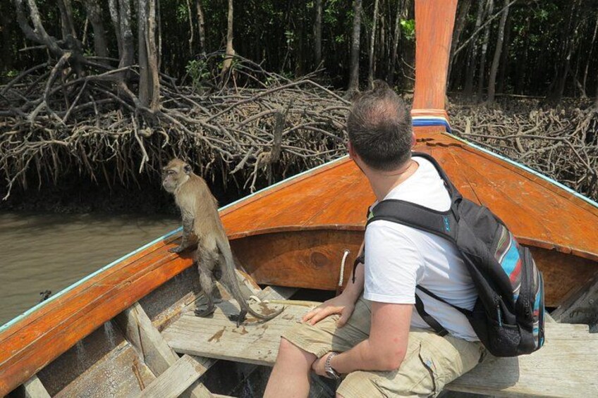 Mangrove forest 3