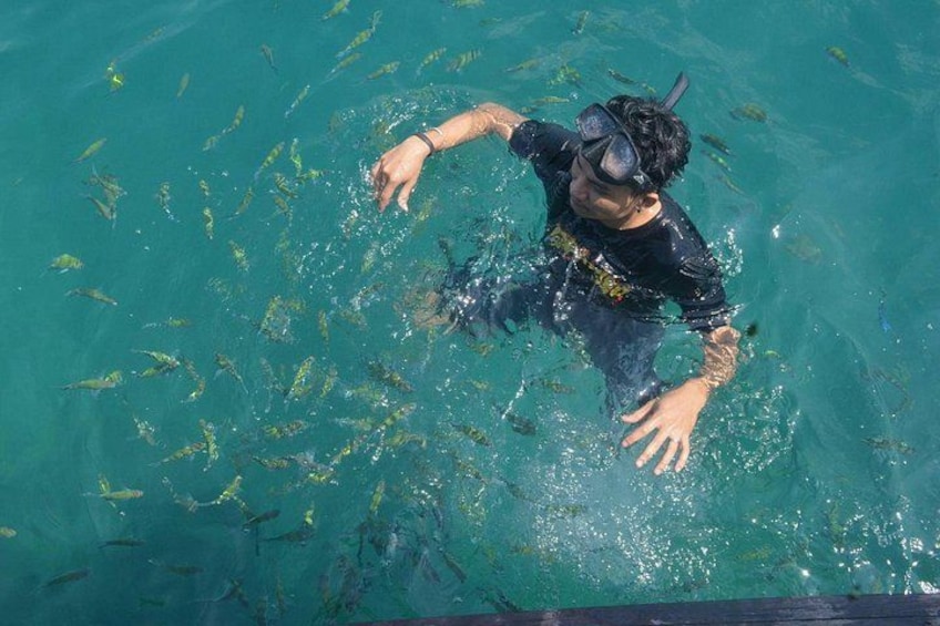A person snorkeling in clear blue water with fish around. 2