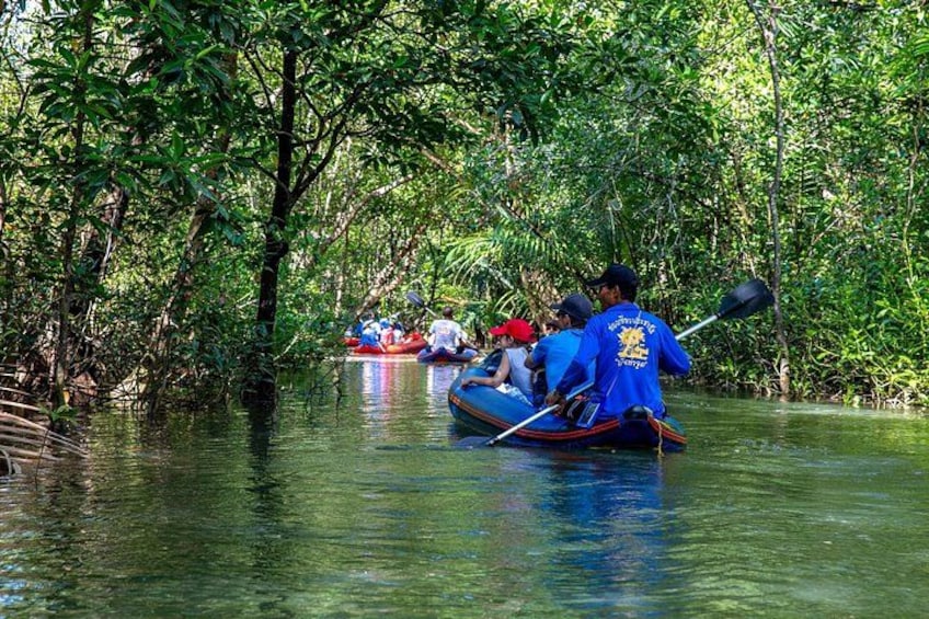 Persone che pagano canoe in un fiume circondato da fitta vegetazione. 5