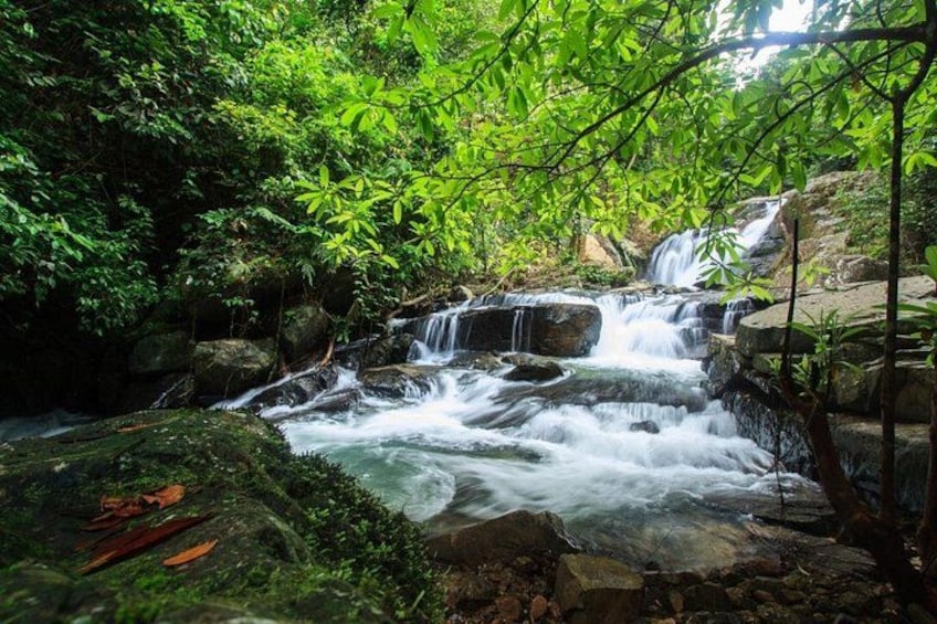 Una cascata che si getta su rocce in una zona boschiva. 4