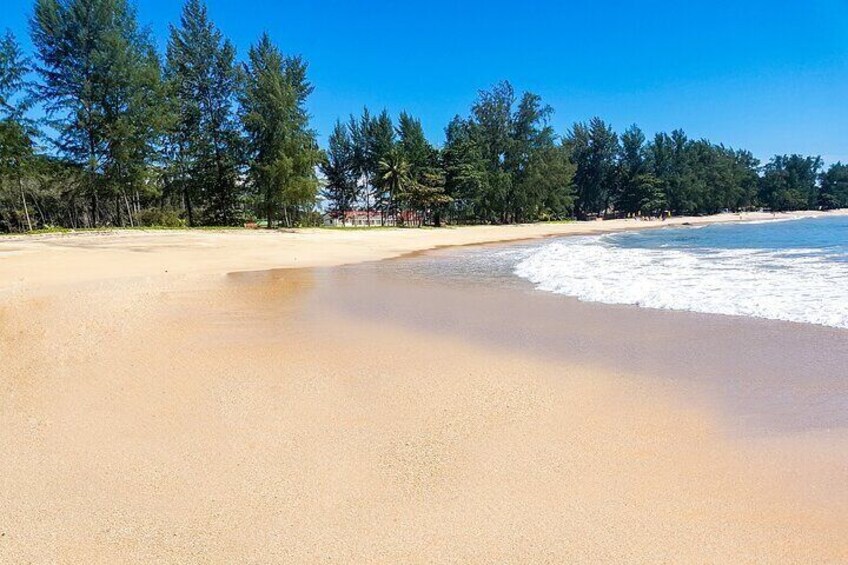 A sandy beach with gentle waves, surrounded by dense trees. 2