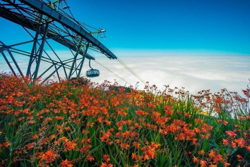 Amazing Fansipan – Vietnam’s Roof of Indochina from Sapa 5