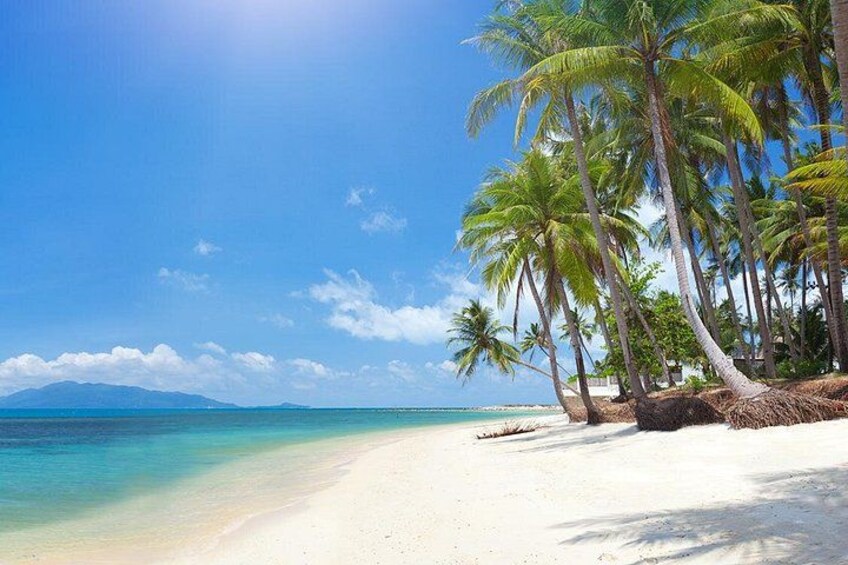 Une plage de sable blanc, avec une eau turquoise cristalline et des palmiers. 1