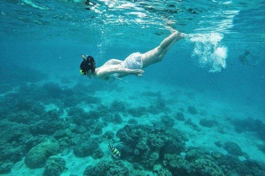 A person swimming underwater near a coral reef. 5