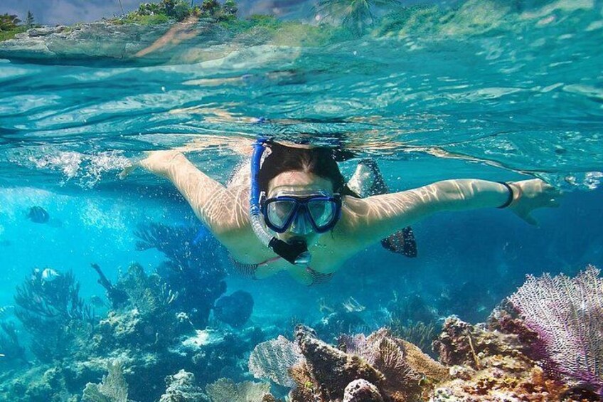 One of the best snorkelling sites in Thailand at Ko Nang Yuan 3