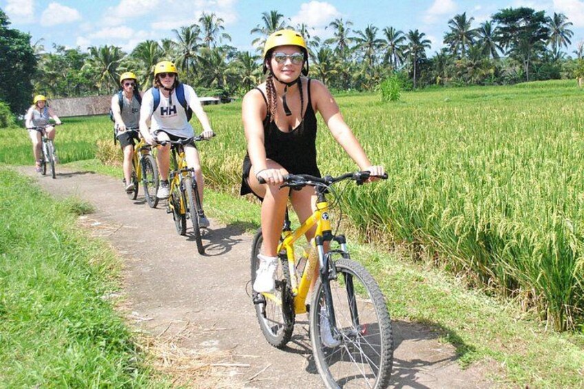 A group of cyclists on a rural path surrounded by fields. 1