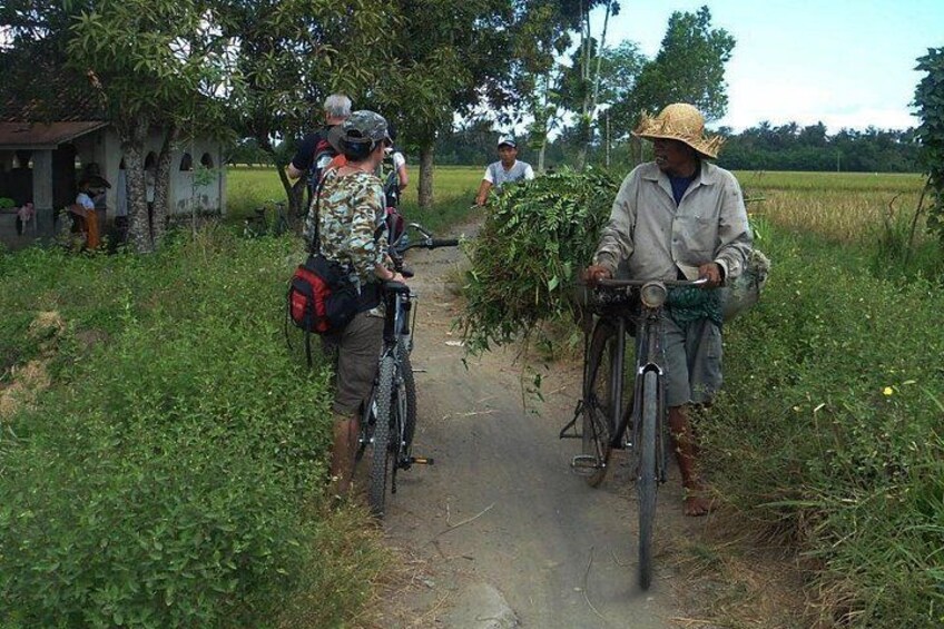 Two cyclists on a rural path, surrounded by greenery and a small building. 3