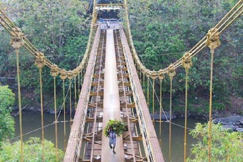 A suspension bridge with a central walkway and supporting cables, surrounded by dense forest. 2