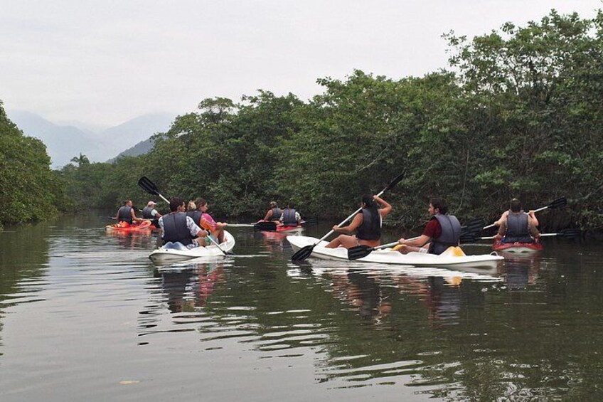People kayaking on a calm river surrounded by dense greenery. 2