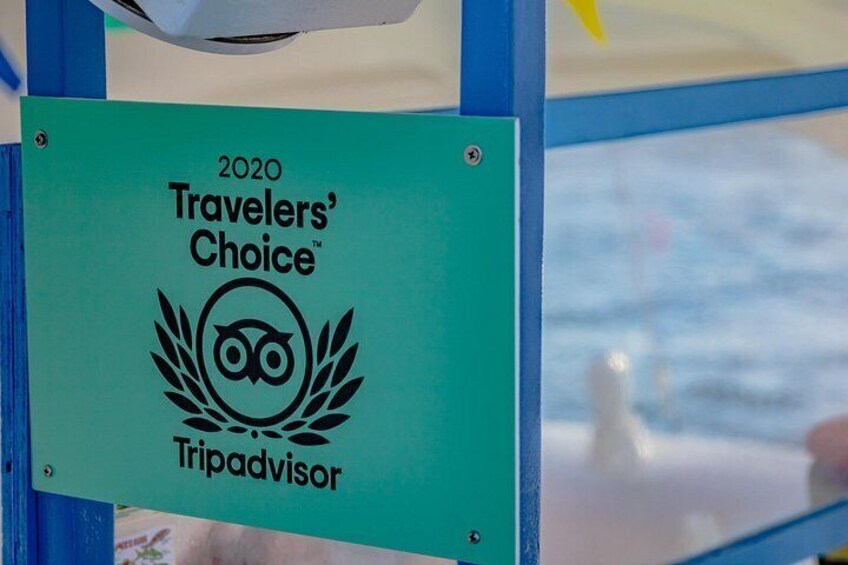 Dolphin Catamaran Snorkel and Sail with Open Bar 2