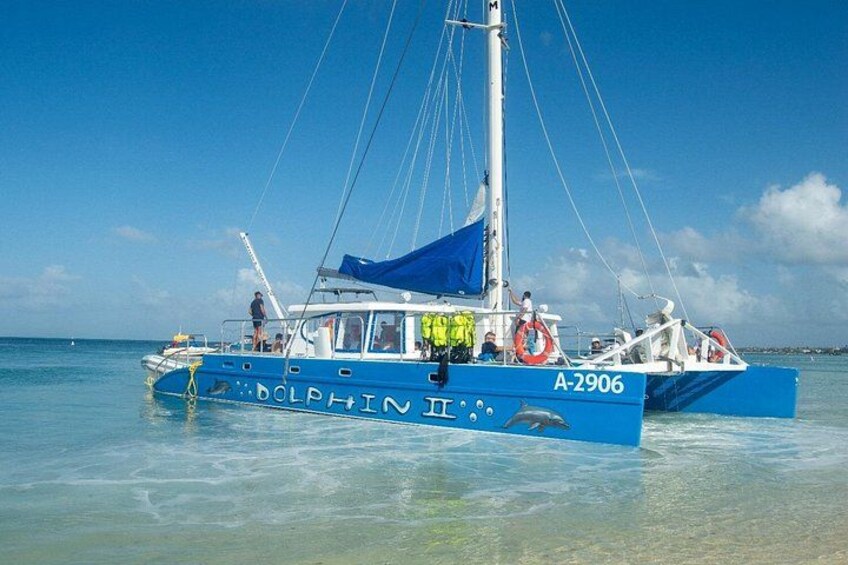 Dolphin Catamaran Snorkel and Sail with Open Bar 2