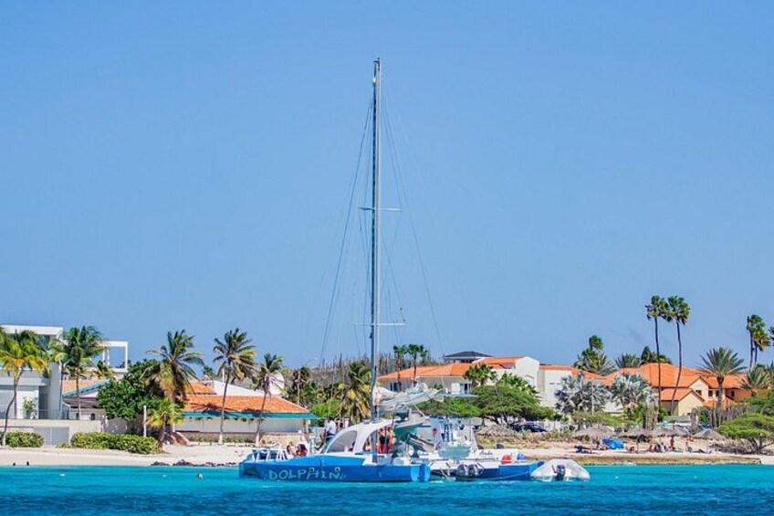 Dolphin Catamaran Snorkel and Sail with Open Bar 3