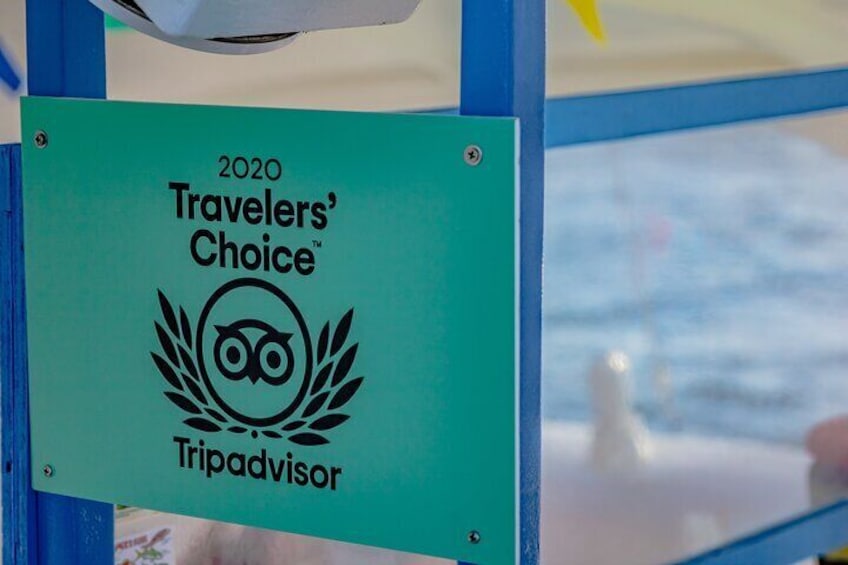 A 2020 Travelers' Choice award plaque for TripAdvisor. 2