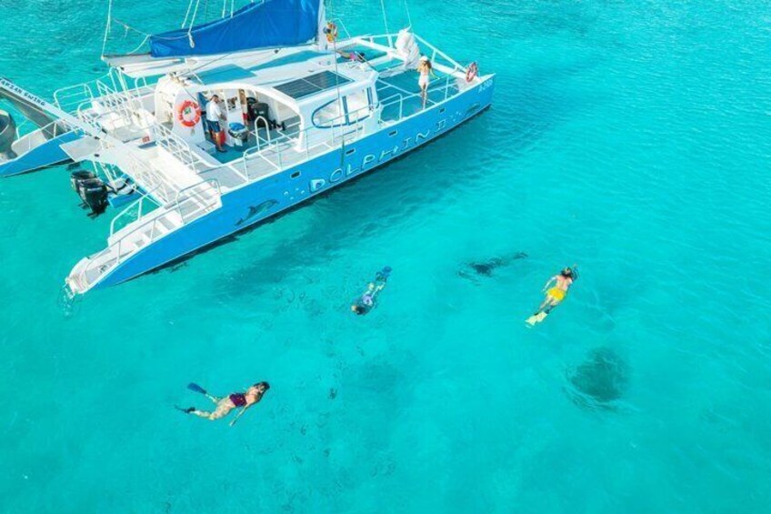 Dolphin Catamaran Snorkel and Sail with Open Bar 1